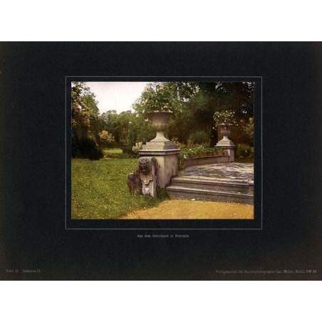 "Aus dem Schlosspark in Peterwitz Tafel 37. Schlesien II."