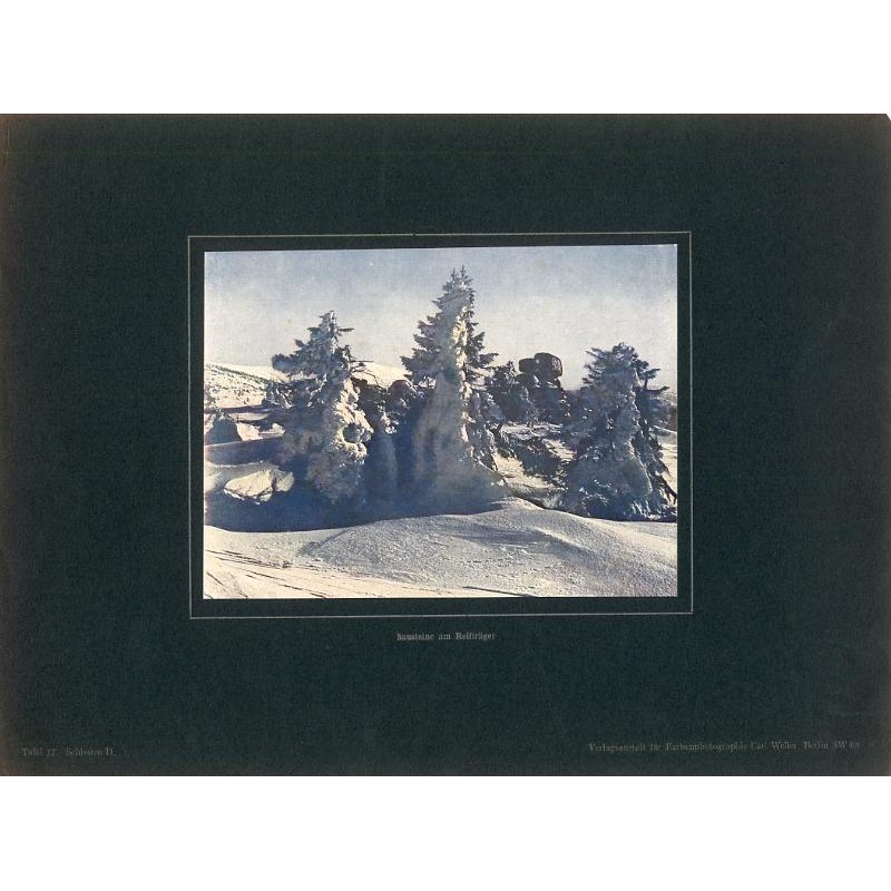 "Sausteine am Reifträger Tafel 17. Schlesien II." / Szrenica