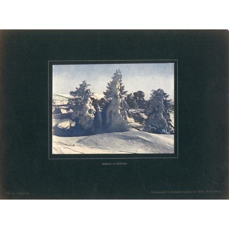 "Sausteine am Reifträger Tafel 17. Schlesien II." / Szrenica