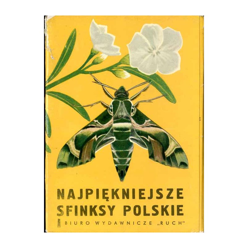 Najpiękniejsze sfinksy polskie [motyle]