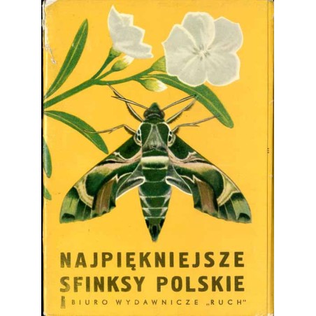 Najpiękniejsze sfinksy polskie [motyle]