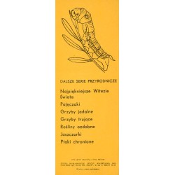 Najpiękniejsze sfinksy polskie [motyle]