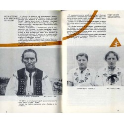 Między Osławą a Osławicą