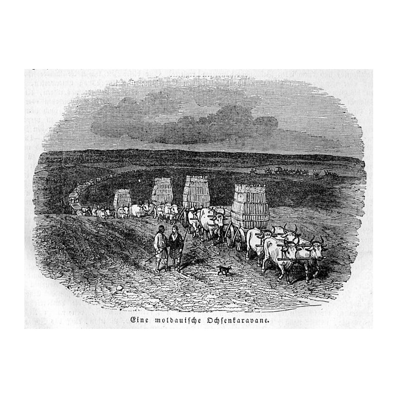 "Eine moldauische Ochsenkaravane."
