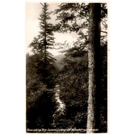 Riesengebirge. Blick i. Zackental a. d. Wege von Zackenfall nach Mariental.