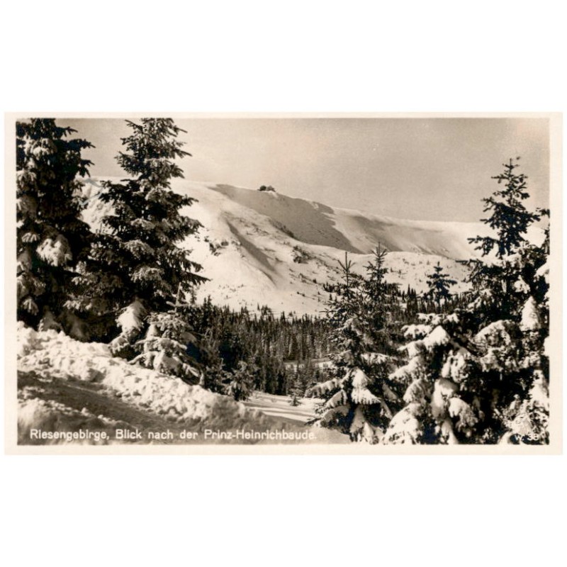 Riesengebirge, Blick nach der Prinz-Heinrichbaude. w. 38