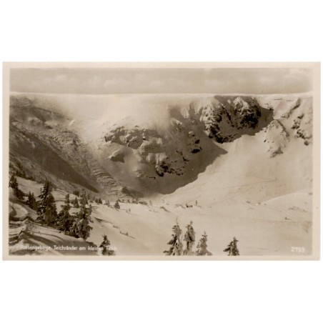 Riesengebirge. Teichränder am kleinen Teich. 2793