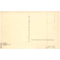 Riesengebirge. Knieholz in Eis und Schnee auf dem Kamm. 2810