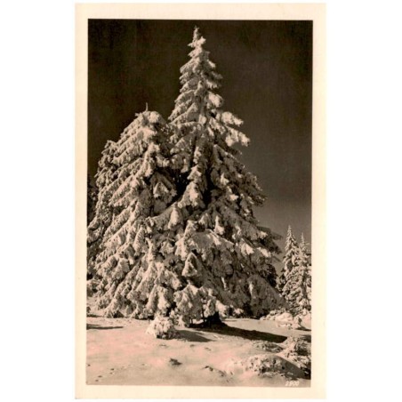 [Riesengebirge] 2900
