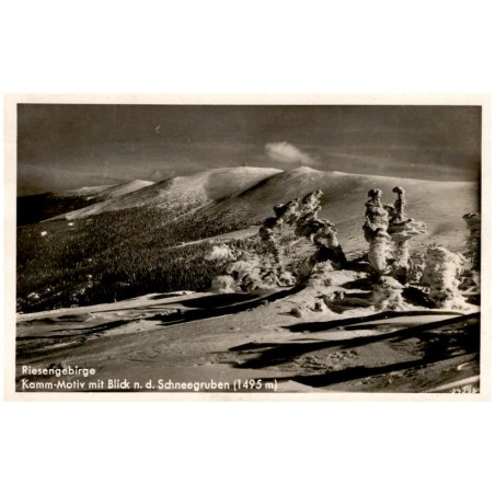 Riesengebirge. Kamm-Motiv mit Blick n. d. Schneegruben (1495 m). 34395
