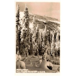 Riesengebirge. Prinz-Heinrich-Baude 1410 m ü. d. M. 61404