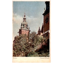 Kraków. Fragment Wawelu