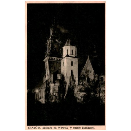 Kraków. Katedra na Wawelu w czasie iluminacji.