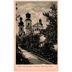 Klasztor OO. Kamedułów na Bielanach. Aleja między celkami.