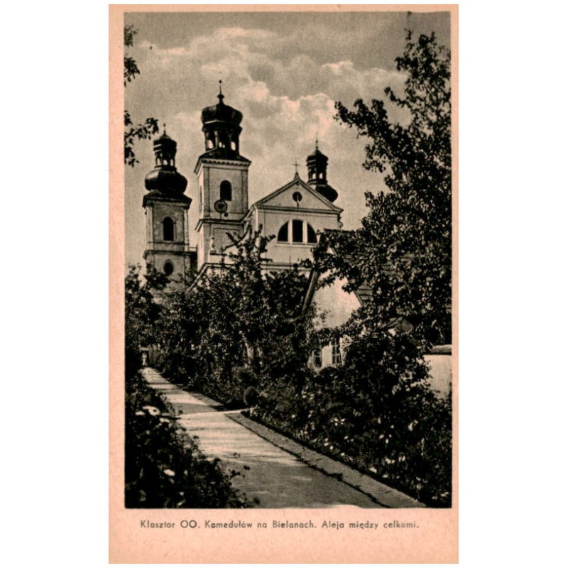 Klasztor OO. Kamedułów na Bielanach. Aleja między celkami.