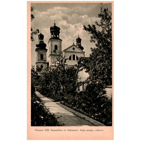 Klasztor OO. Kamedułów na Bielanach. Aleja między celkami.