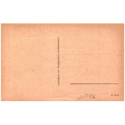 Klasztor OO. Kamedułów na Bielanach. Aleja między celkami.