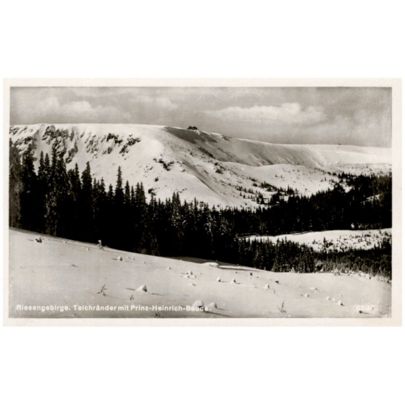 Riesengebirge. Teichränder mit Prinz-Heinrich-Baude. 2933