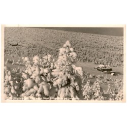1299. Riesengebirge. Neue schles. Baude u. Jägerhütte am Steindlberg