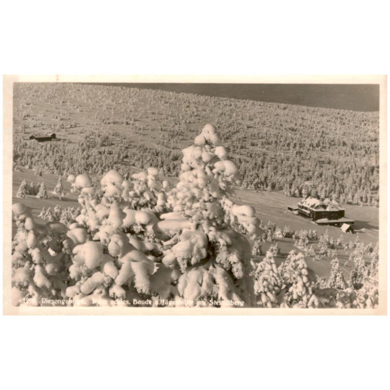 1299. Riesengebirge. Neue schles. Baude u. Jägerhütte am Steindlberg