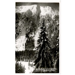 Brunnberg i. Riesengebirge. Blick vom der Bergschmiede.