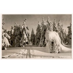 518 Riesengebirge Sonne im Winterwald