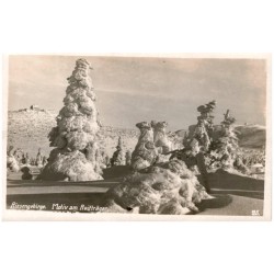 Riesengebirge. Motiv am Reifträger. 125.