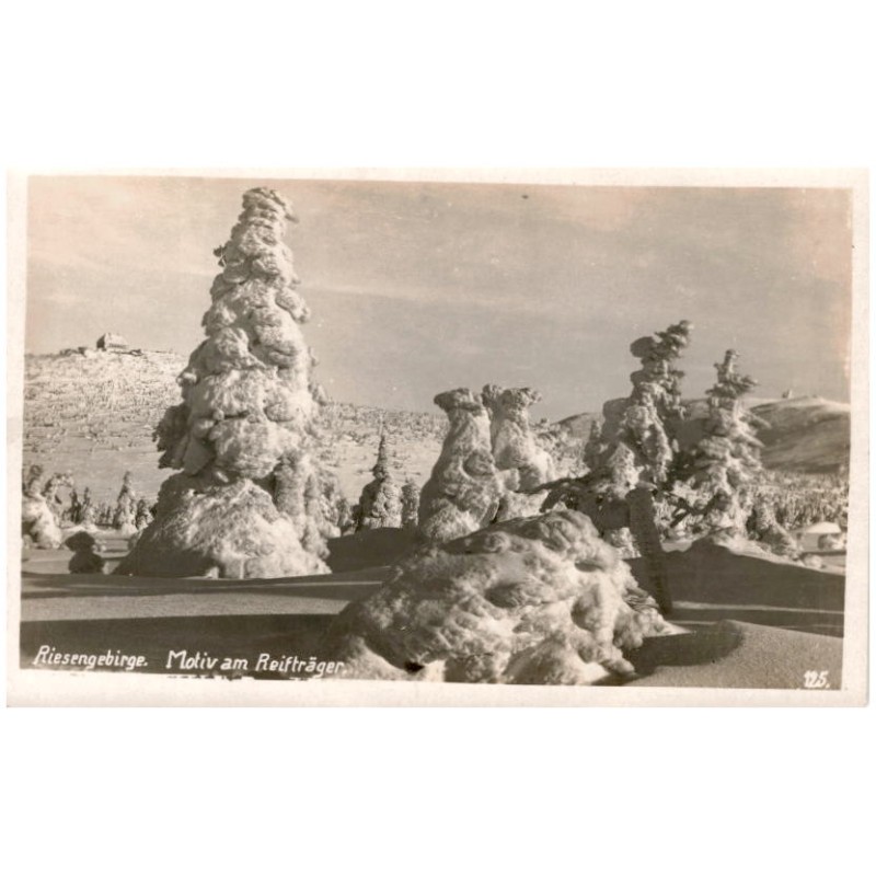 Riesengebirge. Motiv am Reifträger. 125.