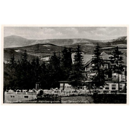 Berg- und Terassenhotel Hainsbergshöh Ober-Seidorf/Rsgb. / Rewers: Berghotel und Kaffee Hainsbergshöh. Das ganze Jahr geöffnet -