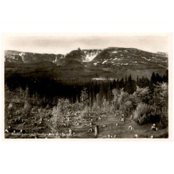 Riesengebirge. Schneegruben mit Baude.