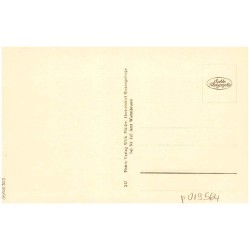 Riesengebirge: Blick v. d. Teichrändern über Kl. Teichbaude-Hampelbaude n. d. Schneekoppe