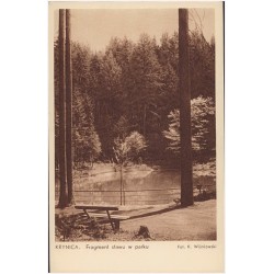 Krynica. Fragment stawu w parku. Fot. K. Wiśniowski. Krynica - Polska