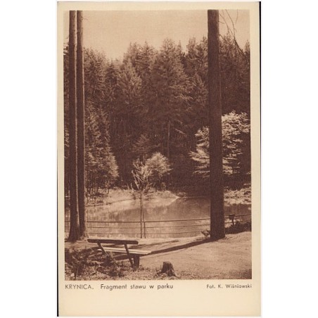 Krynica. Fragment stawu w parku. Fot. K. Wiśniowski. Krynica - Polska