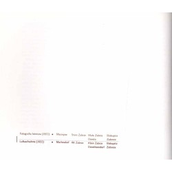 Zabrze na dawnej fotografii (Maciejów, Biskupice, Zaborze). T. 2