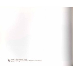 Zabrze na dawnej fotografii (Maciejów, Biskupice, Zaborze). T. 2