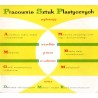 Pracownie Sztuk Plastycznych PP