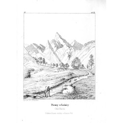 "21. Pieniny w Leśnicy (Skała Wisielec)"