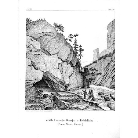 "Nr 71. Źródło Czarnego-Dunajca w Kościelisku. (Czarna Turnia "Pisana".)"