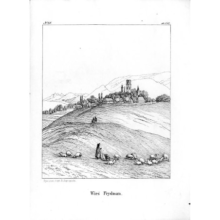 "Nr 78. Wieś Frydman."