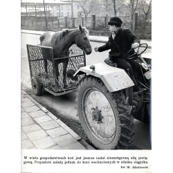 "W wielu gospodarstwach koń jest nadal niezastąpioną siłą pociągową. Przyszłość należy jednak do koni mechanicznych w silniku ci