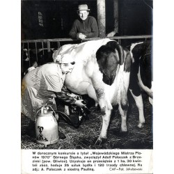 "W dorocznym konkursie "Wojewódzkiego Mistrza Plonów 1970" Górnego Śląska, zwyciężył Adolf Poloczek z Brzezinki (pow. Gliwice).
