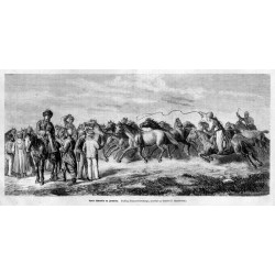 "Konie tatarskie na jarmarku. Podług Przyszychowskiego, rysował na drzewie F. Sypniewski)."