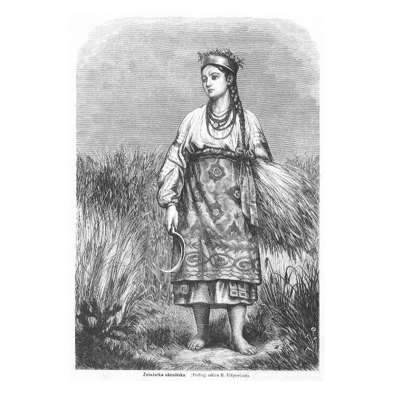 "Żniwiarka ukraińska. (Podług szkicu H. Filipowicza)."