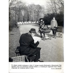 "To zdjęcie zostało wykonane w dniu 11 lutego w parku Kościuszki w Katowicach. Tak łagodnej zimy nie pamiętają najstarsi ludzie,