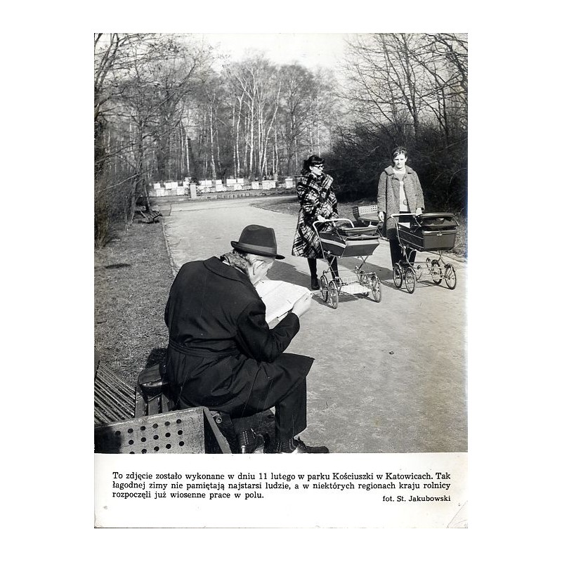 "To zdjęcie zostało wykonane w dniu 11 lutego w parku Kościuszki w Katowicach. Tak łagodnej zimy nie pamiętają najstarsi ludzie,