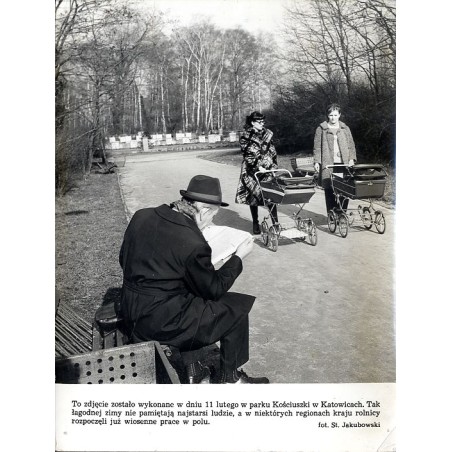 "To zdjęcie zostało wykonane w dniu 11 lutego w parku Kościuszki w Katowicach. Tak łagodnej zimy nie pamiętają najstarsi ludzie,