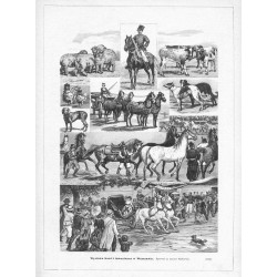 "Wystawa koni i inwentarza w Warszawie. Rysował na miejscu Masłowski. (1057)"