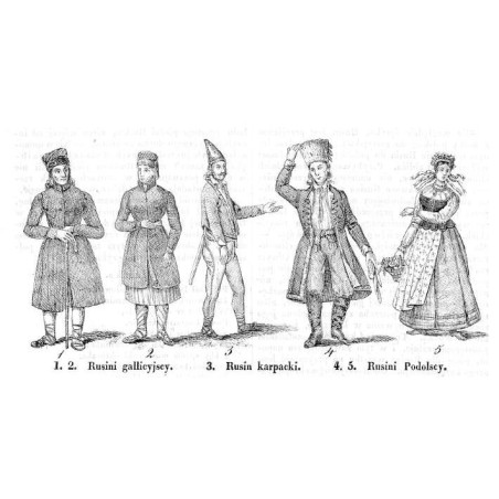 "1.2. Rusini gallicyjscy. 3. Rusin karpacki. 4.5. Rusini Podolscy."