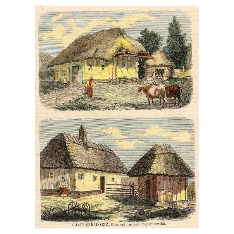 Chaty ukraińskie / "CHATY UKRAIŃSKIE. (Rysował z natury Przyszychowski)."