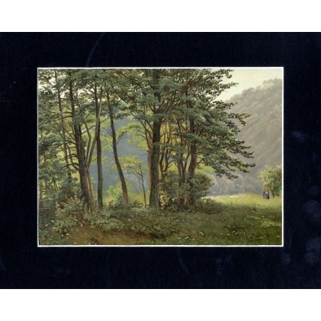 Alpy Bawarskie 39 / Bayerische Alpen